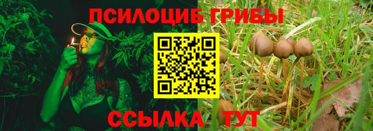 Галлюциногенные грибы MAGIC MUSHROOMS Саров